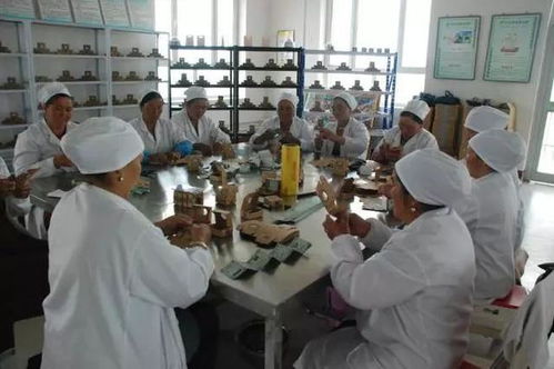 合作社助力就業(yè)扶貧帶動(dòng)貧困戶(hù)脫貧致富